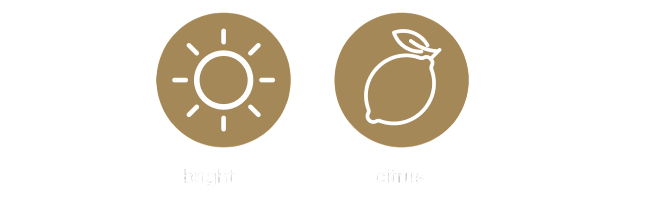 bright and citrus tasting notes